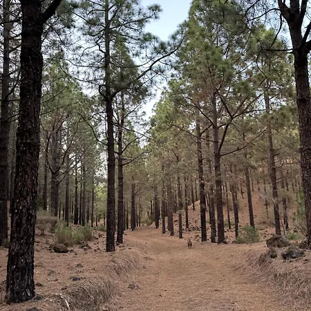 Zulia Suites, Masca, Teide, Gigantes, Excursions, Ac, Wifi-3