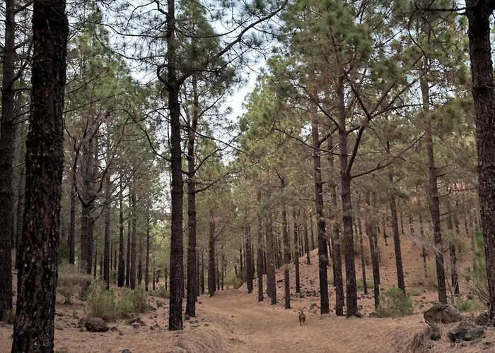 Zulia Suites, Masca, Teide, Gigantes, Excursions, Ac, Wifi-3